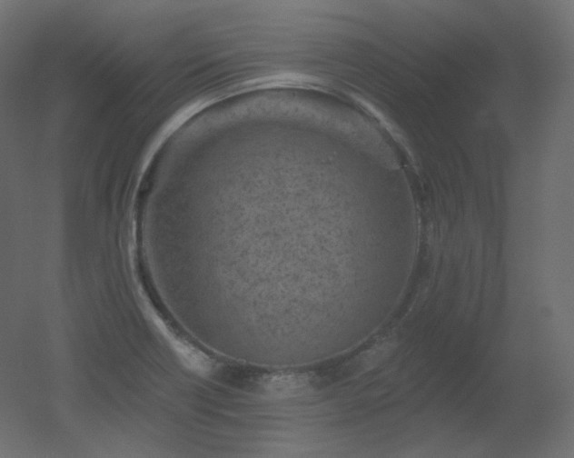 X0000051861418200506241309