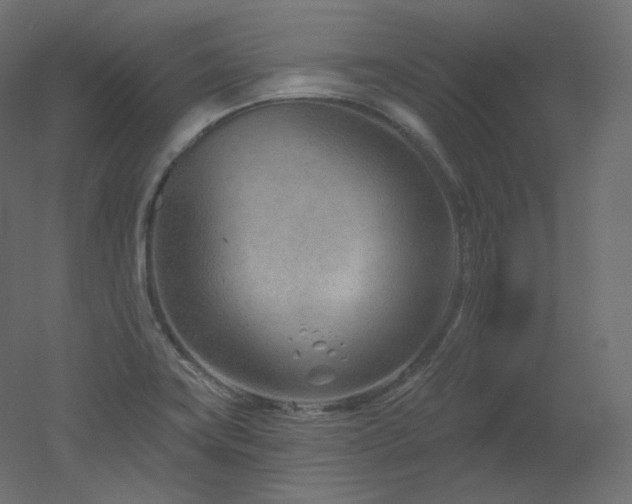 X0000051861419200506241309