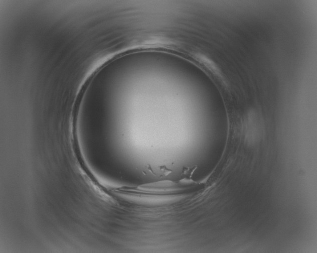 X0000051861420200506241309