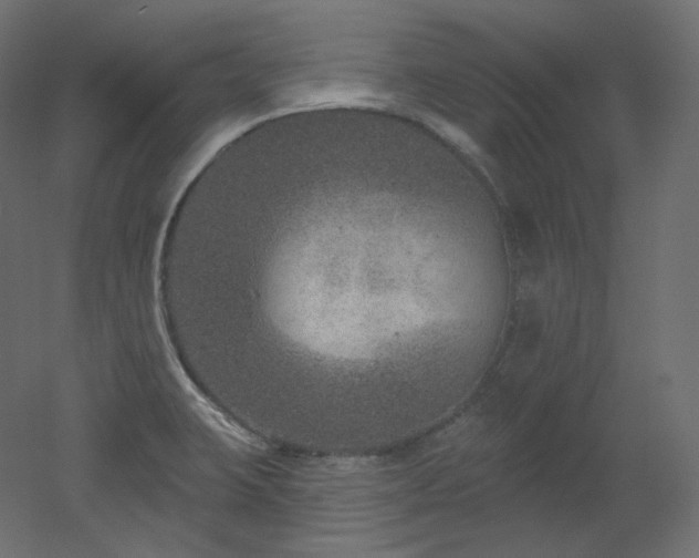 X0000051861423200506241309