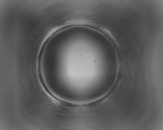 X0000051861424200506241309