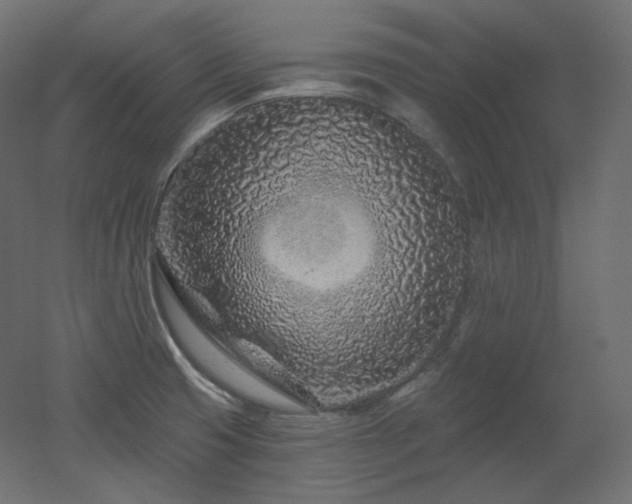X0000051861425200506241309