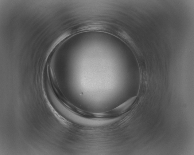 X0000051861426200506241309