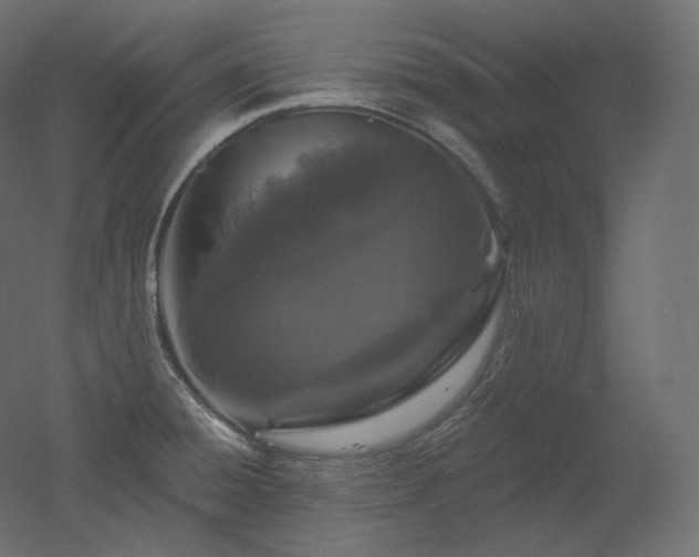 X0000051861428200506241309