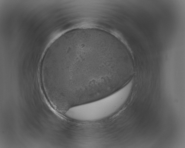 X0000051861429200506241309