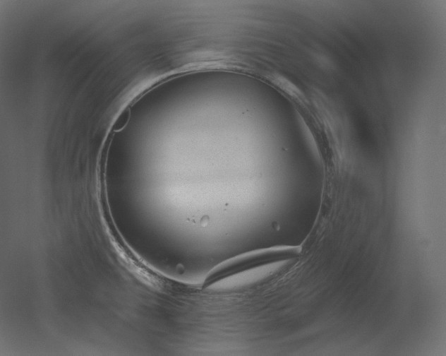 X0000051861431200506241309