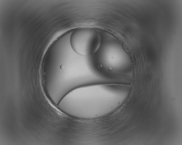 X0000051861432200506241309