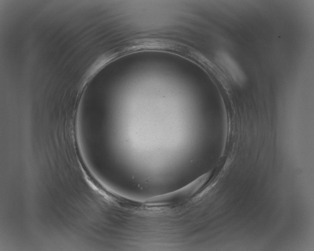 X0000051861433200506241309