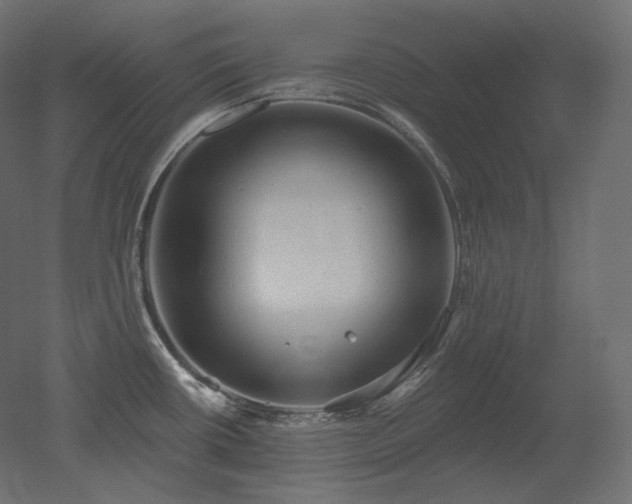 X0000051861434200506241309