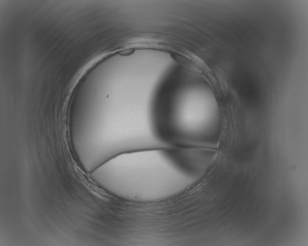 X0000051861435200506241309