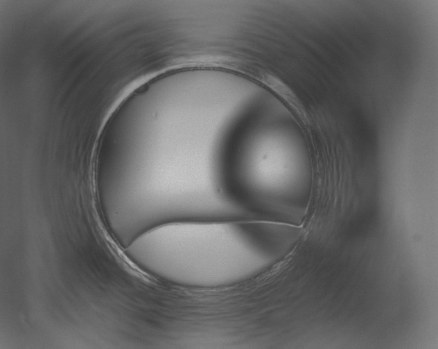 X0000051861436200506241309