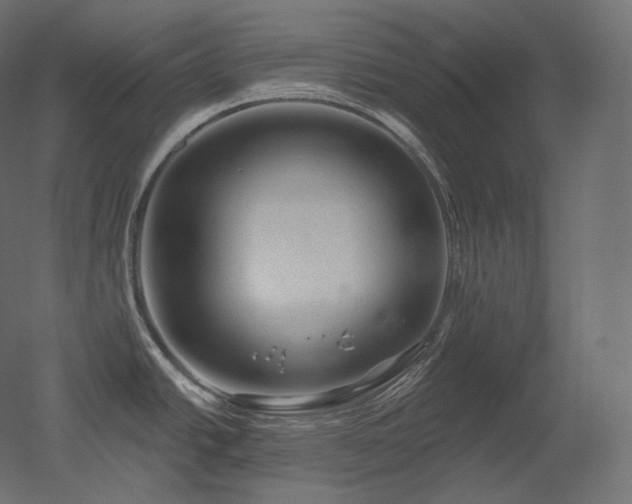 X0000051861438200506241309