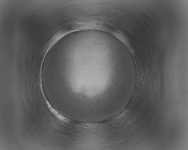 X0000051861439200506241309