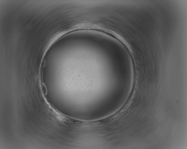 X0000051861440200506241309