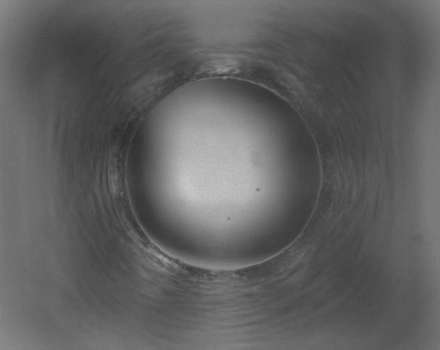 X0000051861442200506241308