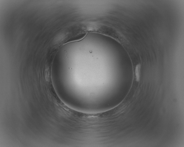 X0000051861443200506241308