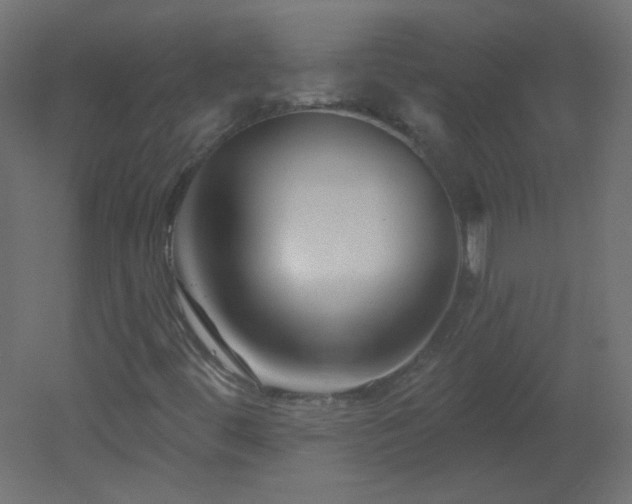 X0000051861444200506241308