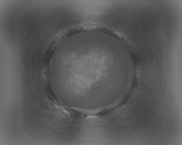 X0000051861445200506241308