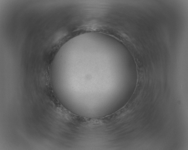 X0000051861446200506241308