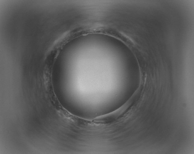 X0000051861447200506241308