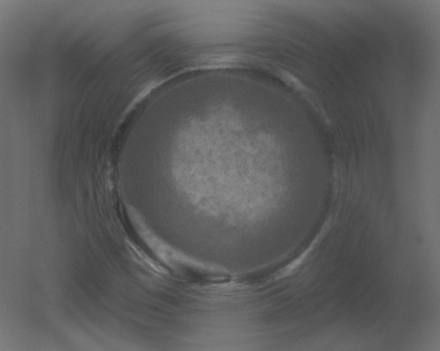 X0000051861449200506241308