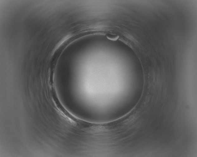 X0000051861450200506241308