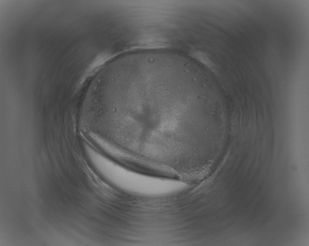 X0000051861451200506241308