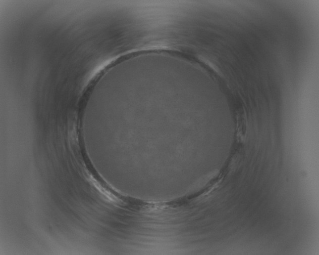 X0000051861452200506241308