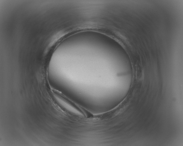 X0000051861453200506241308