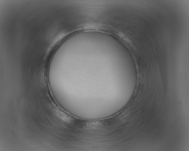 X0000051861454200506241308