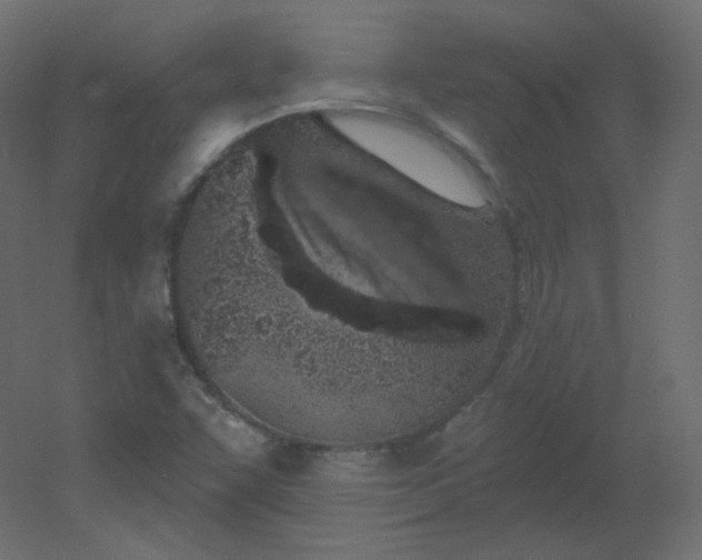 X0000051861455200506241308