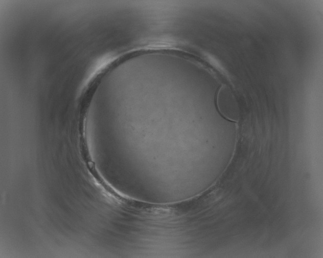 X0000051861456200506241308