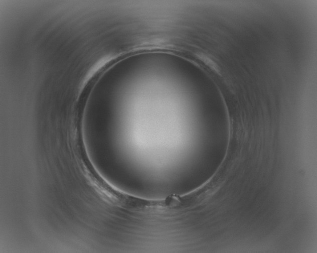 X0000051861458200506241308