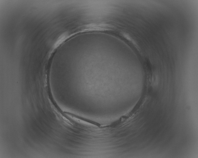 X0000051861459200506241308