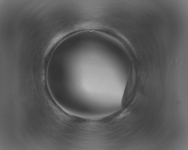 X0000051861461200506241308