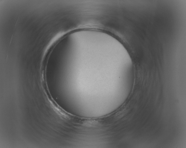 X0000051861462200506241308