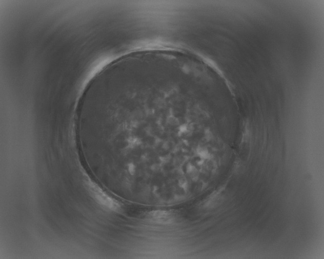 X0000051861463200506241308