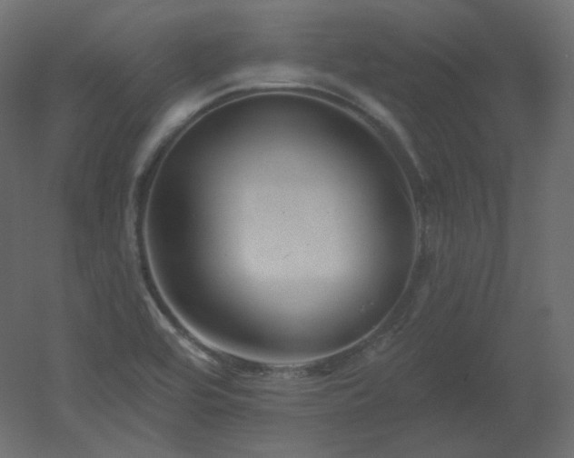 X0000051861464200506241308