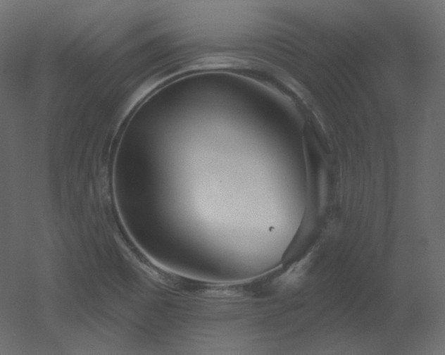 X0000051861465200506241308