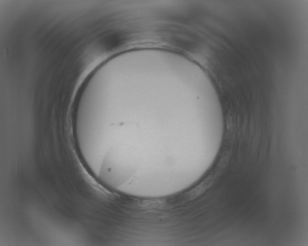 X0000051861466200506241308