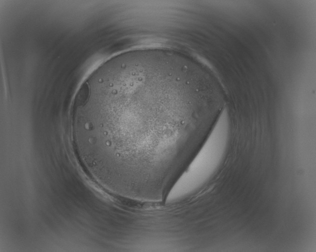 X0000051861467200506241308