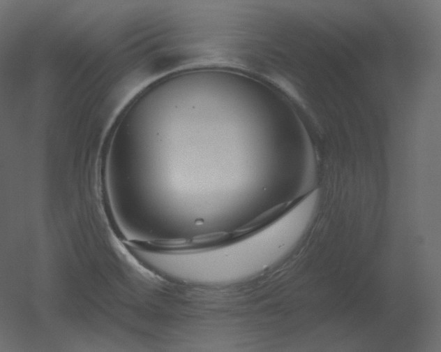 X0000051861468200506241308