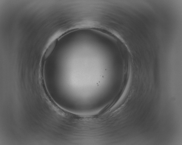 X0000051861469200506241308