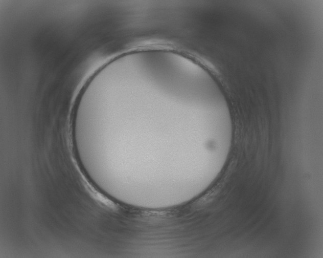 X0000051861470200506241308