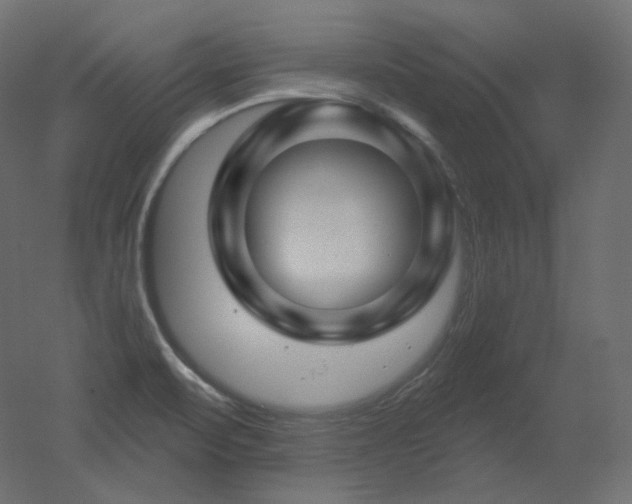 X0000051861471200506241308