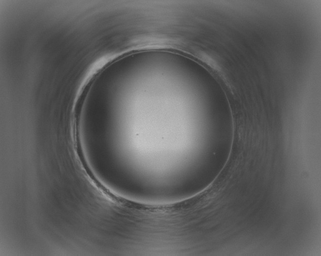 X0000051861472200506241308