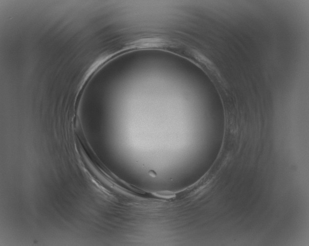 X0000051861473200506241308