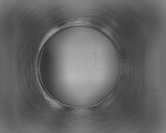 X0000051861474200506241308