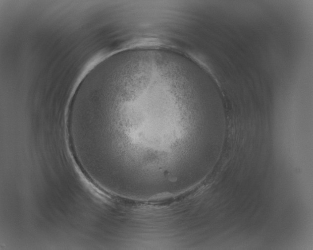 X0000051861475200506241308