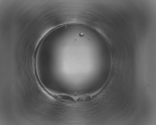 X0000051861476200506241308